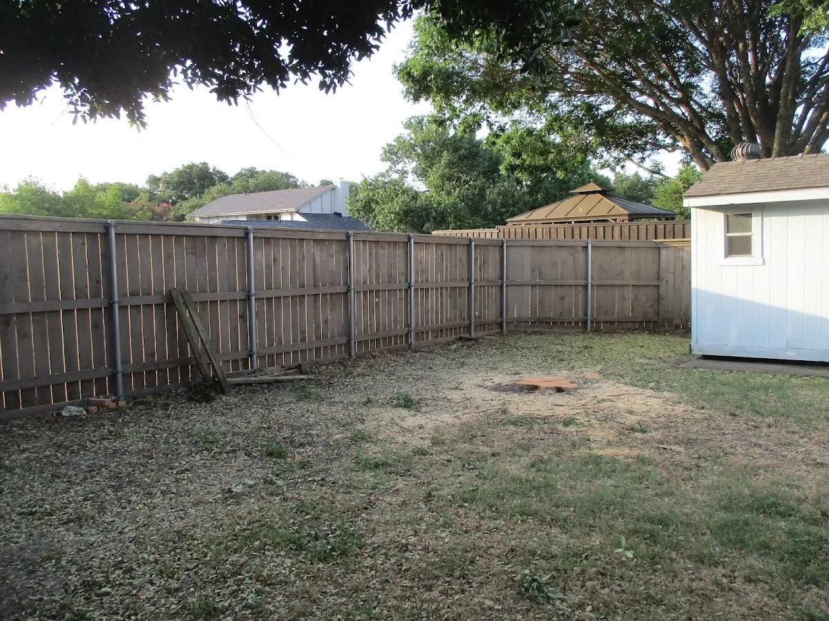 Cleared yard after professional tree removal in Effie