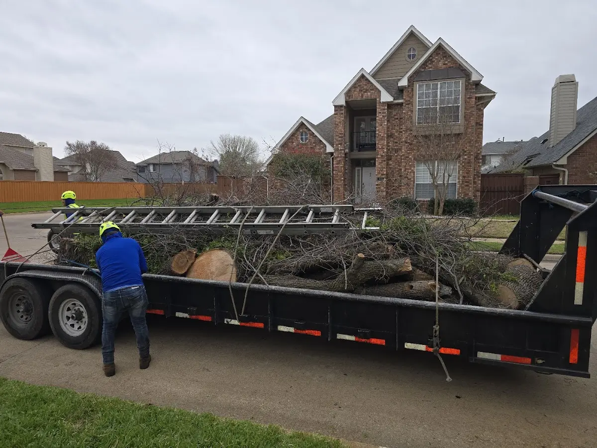 Expert Tree Fertilization with proper safety equipment in Effie